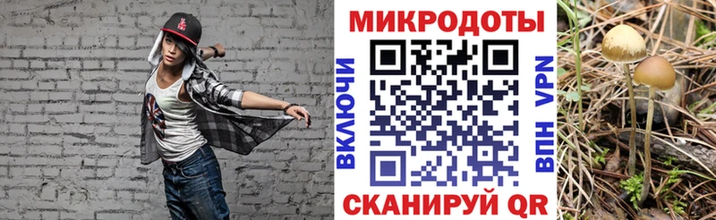 Галлюциногенные грибы MAGIC MUSHROOMS  Купить где  Козельск 